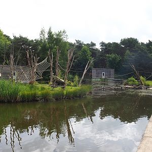 L'Hoëst's monkey islands, 2022-06-12