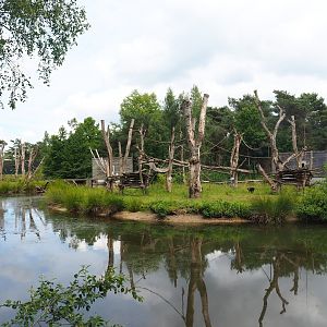 L'Hoëst's monkey islands, 2022-06-12