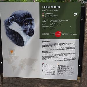 L'Hoëst monkey signage, 2022-06-12