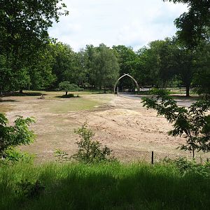 Part of multi-hectare mixed savanna paddock, with beginning of the car safari, 2022-06-12