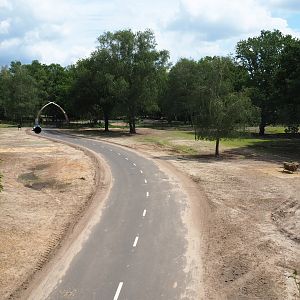 Part of multi-hectare mixed savanna paddock, with beginning of the car safari, 2022-06-12