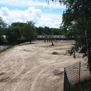 Part of multi-hectare mixed savanna paddock, viewed towards the savanna paddock stables, 2022-06-12