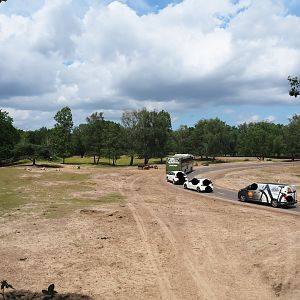 Multi-hectare mixed savanna paddock with car and bus safari, 2022-06-12