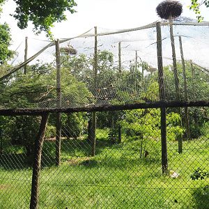 Wetland aviary, Since demolished for the expansion of the African elephant facility, 2022-06-12