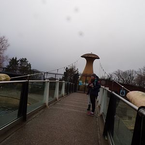 View of bridge over penguin enclosure 14.1.23