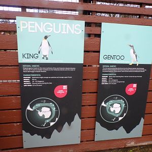 Penguin signage 14.1.23