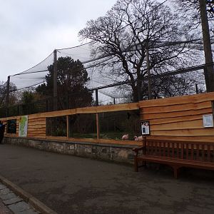 View of new section on flamingo aviary 26.2.23