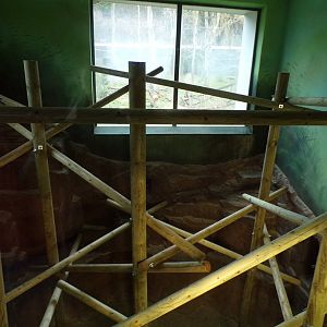 New climbing frame in living links 26.2.23