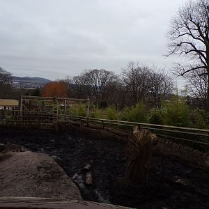 Indian rhino enclosure 26.2.23