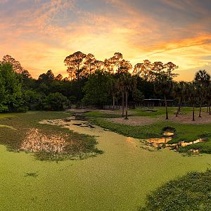 Rhino Exhibit At Sunset