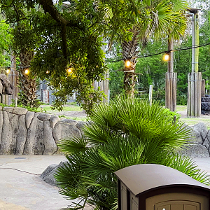 Elephant Plaza At Sunset