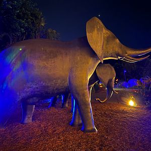 Elephant Sculptures At Night