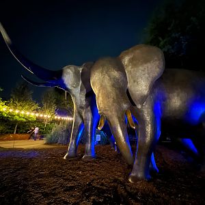 Elephant Sculptures At Night