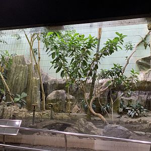 Bird House Exhibit 2 Ground Floor Veiwing