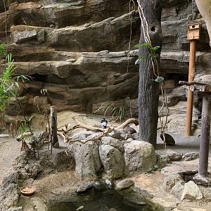 Bird House Exhibit 3 Ground Floor