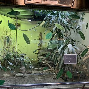 Finch Exhibit