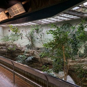 Bird House Exhibit 3 Upper Floor Viewing