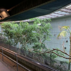 Bird House Exhibit 2 Upper Floor Viewing