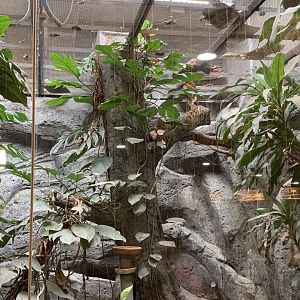 Quail and Kingfisher Exhibit