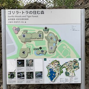 Gorilla Woods and Tiger Forest Sign
