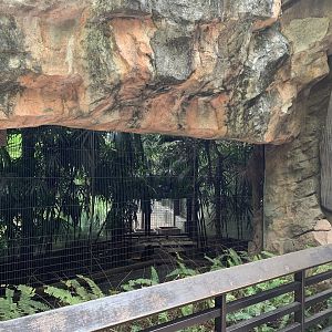 Edward’s Pheasant Viewing