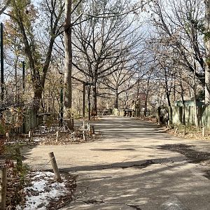 Tropical Forest Area