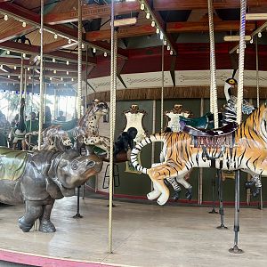 Carousel Animals