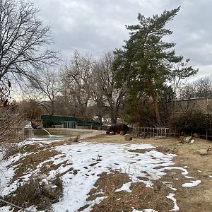 River Hippopotamus outdoor exhibit