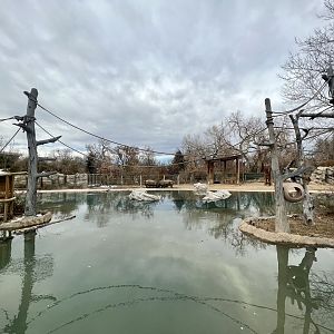 Rhinoceros and Gibbon Exhibits