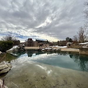 Asian Elephant Exhibit