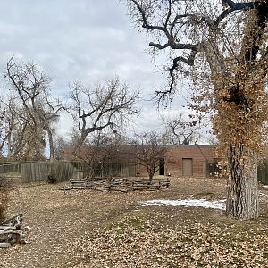 Red Kangaroo and Emu Exhibit