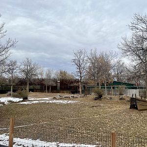 Okapi and Yellow-backed Duiker Exhibit