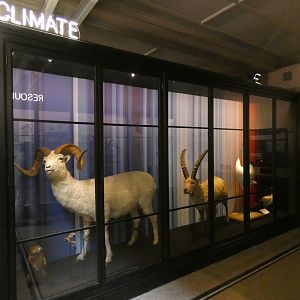 Climate change display