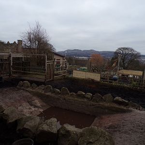 Indian rhino enclosure 26.2.23