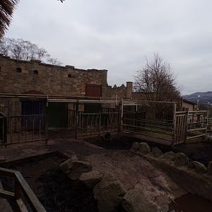Indian rhino enclosure 26.2.23