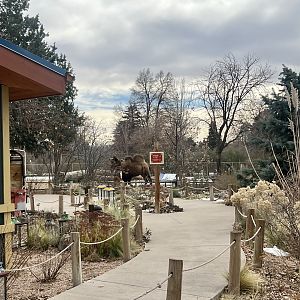 Chinese-Mongolian Steppes area