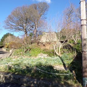 Former snowy owl aviary  11.3.23