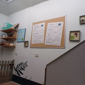 View of staff path next to pancake tortoise enclosure  11.3.23