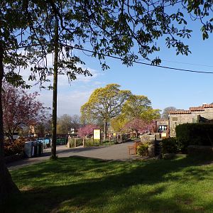 General view   22.4.23