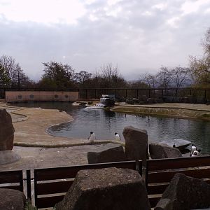 Penguin enclosure  22.4.23
