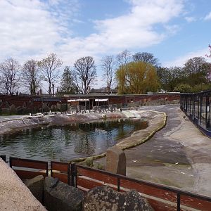 Penguin enclosure   22.4.23