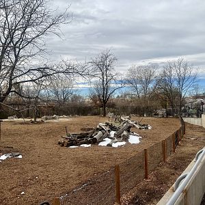 Grevy’s Zebra Exhibit