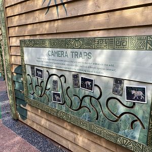 Conservation board jaguar enclosure PWP