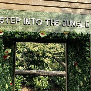 ‘Jungle’ viewing window into jaguar enclosure PWP