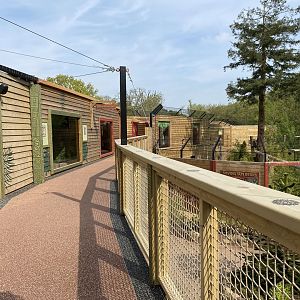 Jaguar enclosure walkway PWP