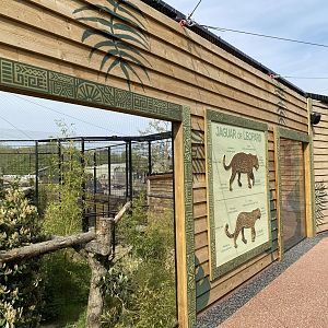 Jaguar enclosure walkway PWP