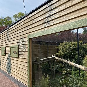 Jaguar enclosure upper viewing PWP