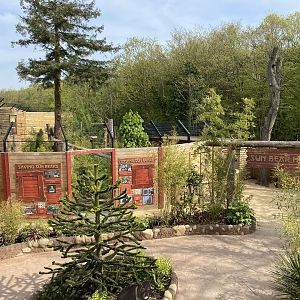 Sun bear rear enclosure from upper walkway PWP