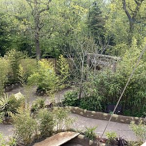 Path from sun bears to snow leopards PWP