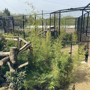 Jaguar enclosure outside spaces PWP